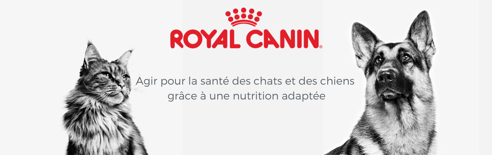 Royal Canin — Agir pour la santé des chats et des chiens